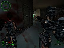 Operation: Matriarchy