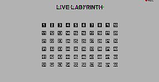 Live Labyrinth