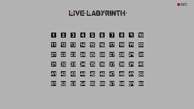 Live Labyrinth