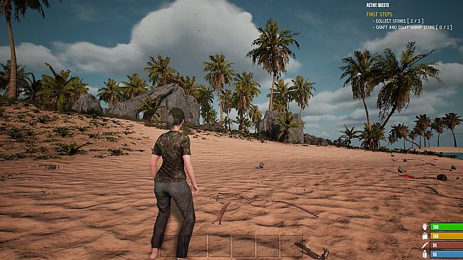 Matt's Project Survival