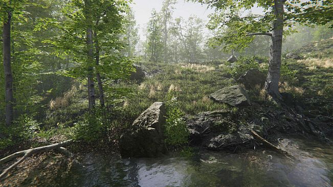 Mushroom Collector Simulator