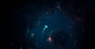 JELLYFISH