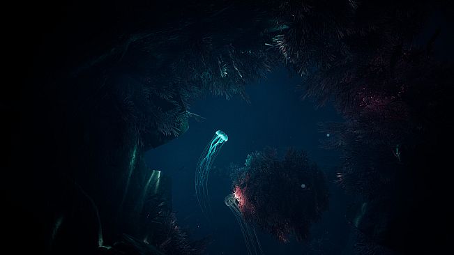 JELLYFISH