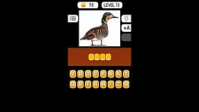 Photo Quiz - Animals