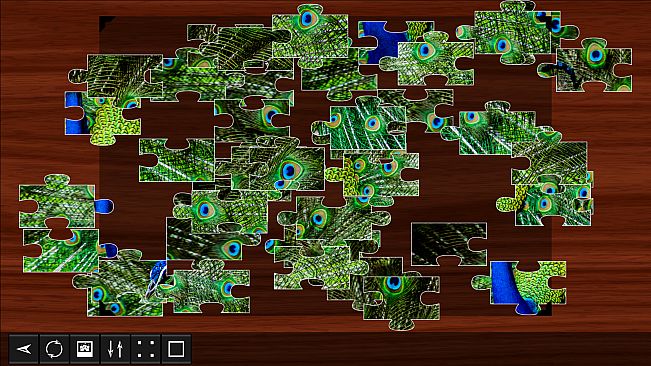 Jigsaw Puzzle World - Birds