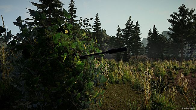 Ghillie Wars