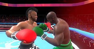 Pro Sports Boxing