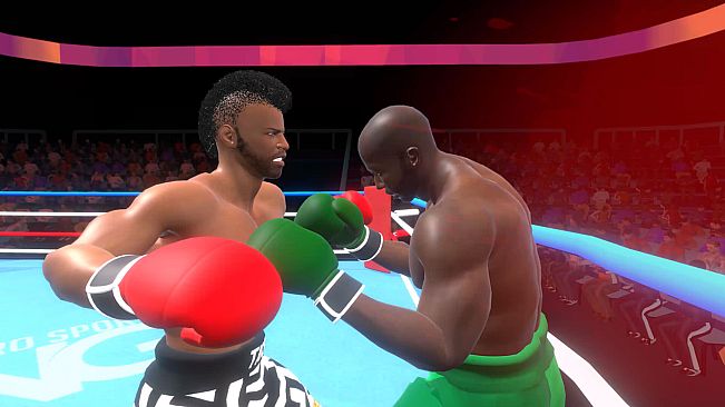 Pro Sports Boxing