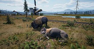 Railroads Online - Explorer DLC