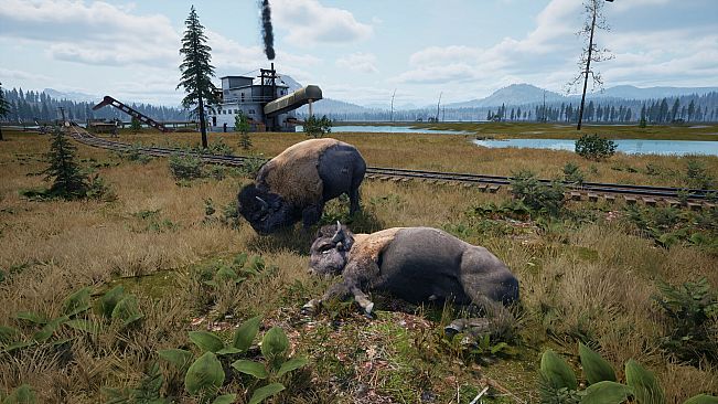 Railroads Online - Explorer DLC