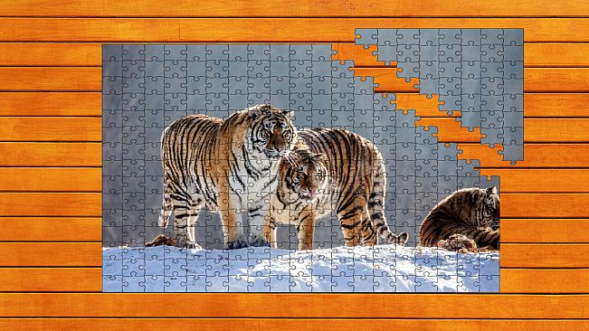 Big Cat Jigsaw Quest - Expansion Pack 2