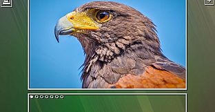 Super Jigsaw Puzzle: Generations - Birds Puzzles