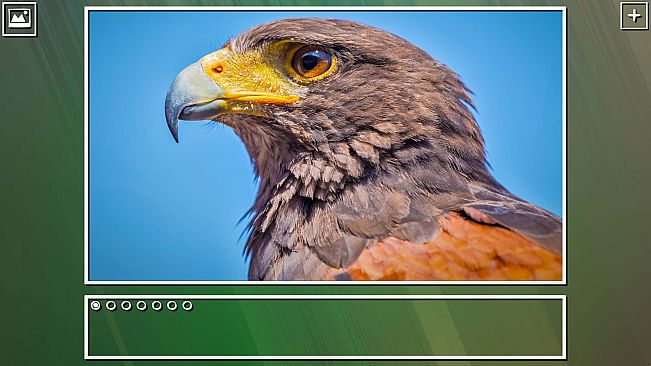 Super Jigsaw Puzzle: Generations - Birds Puzzles