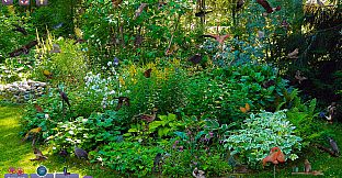 Hidden Pairs 3: Lovely Birds - Hidden Objects