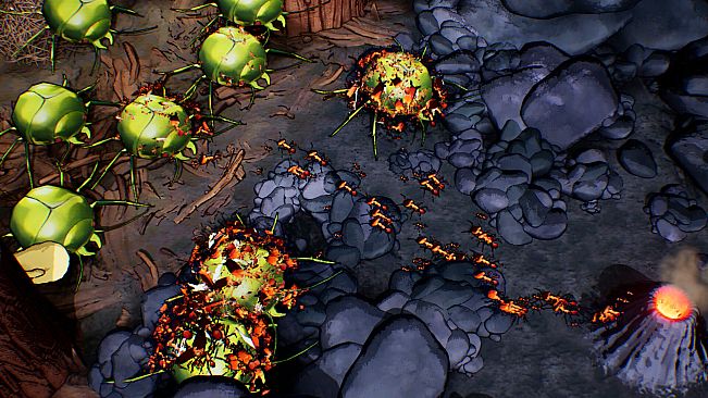 Ants Times Infinity