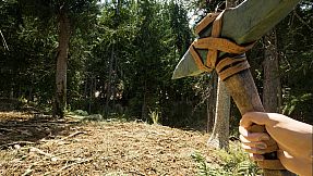 Demise: Survival Uncharted