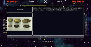 I've Seen Everything - More Fruits