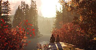 Life is Strange 2 - Arcadia Bay Patches DLC