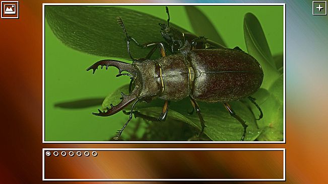 Super Jigsaw Puzzle: Generations - Bugs Puzzles