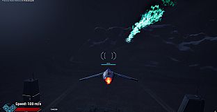 Directive: Intercept