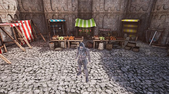 Medieval Life: Chronicles Of Annora