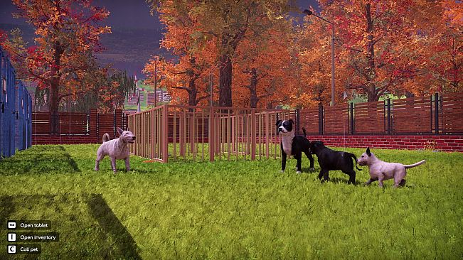 Animal Shelter 2 - Bull-Type Terriers Dogs Pack