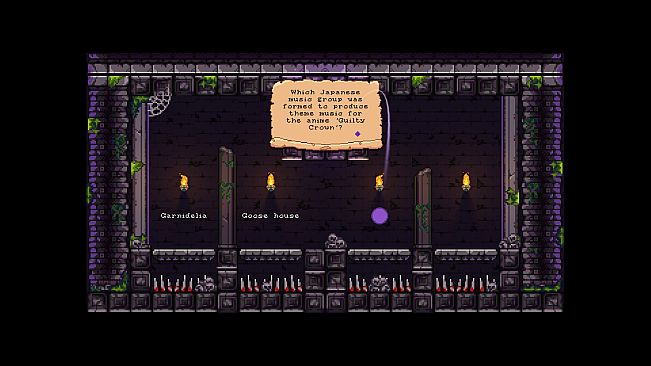 The Quizard's Domain