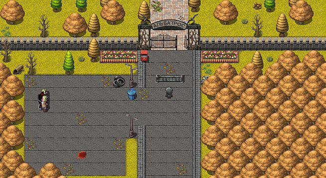 The Color of the Roses