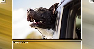 Super Jigsaw Puzzle: Generations - Dogs Puzzles