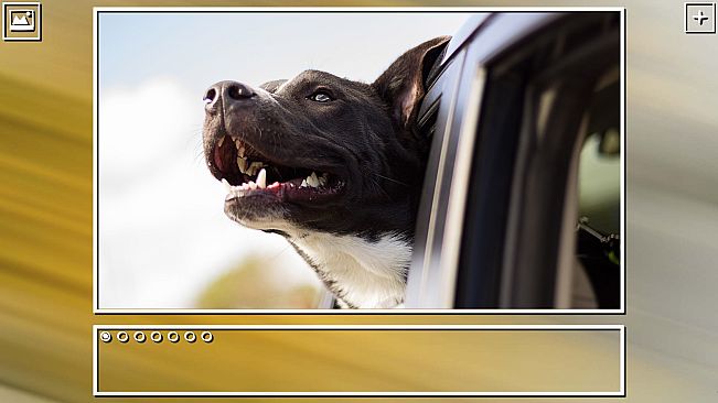 Super Jigsaw Puzzle: Generations - Dogs Puzzles