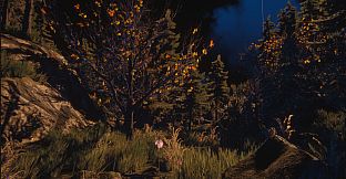 The Forgotten Killer