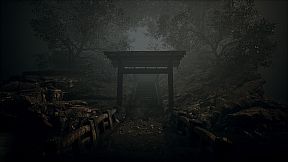 Shines Over: The Damned