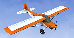 RealFlight Evolution - 2023 Year Content Pass