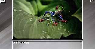 Super Jigsaw Puzzle: Generations - Random Animals Puzzles