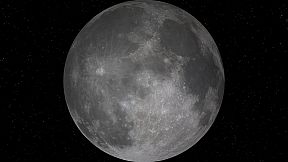 Future Simulation World