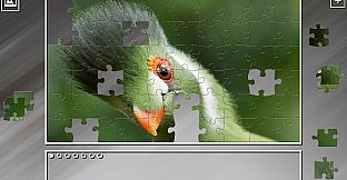 Super Jigsaw Puzzle: Generations - Random Animals 3