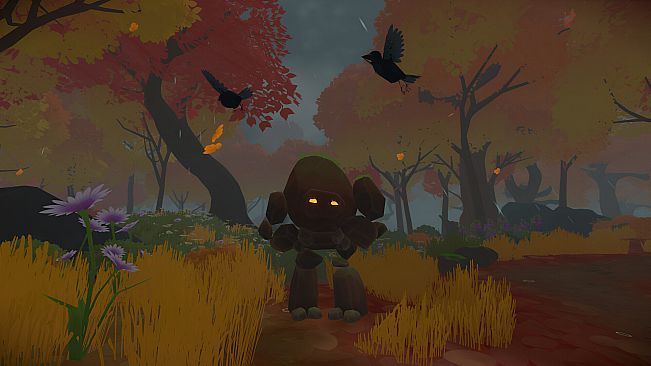 Unpetrified: Echoes of Nature