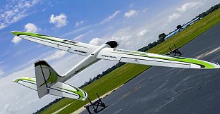 RealFlight Evolution - 2024 Year Content Pass