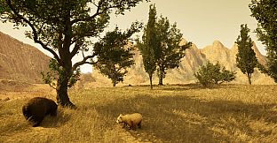 Wojtek: A Soldier Without a Uniform