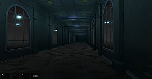 Empty House