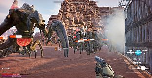 Desert Echo