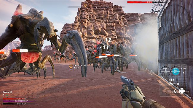 Desert Echo