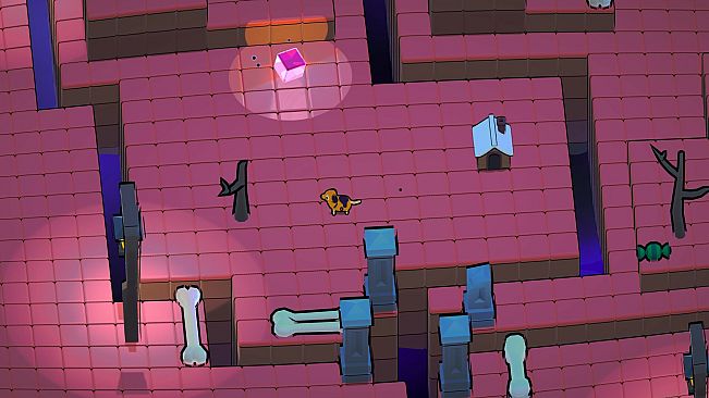 The PARADOGX Incident