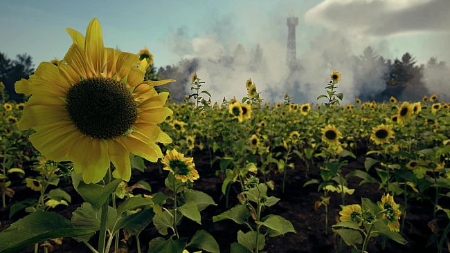 Death From Above: A Ukrainian Drone Warstory