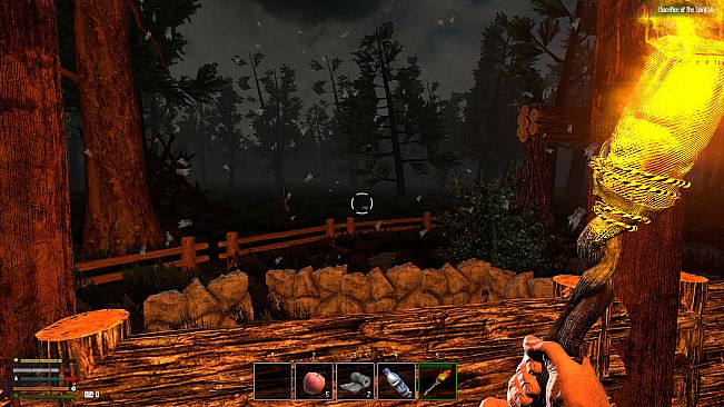 Sacrifice of The Spirit