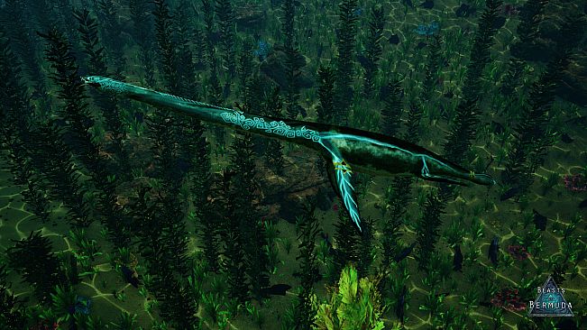 Beasts of Bermuda - Elasmosaurus Supporter Warpaint