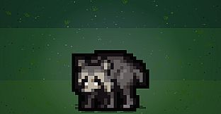 Jimothy the Racoon Pet