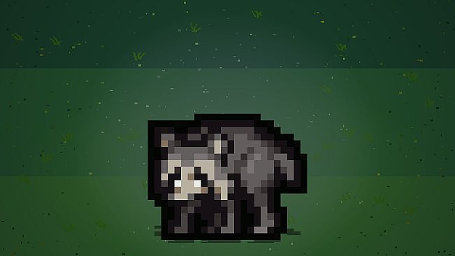 Jimothy the Racoon Pet