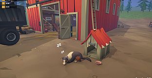 A Needle In A Haystack: Sorting Game
