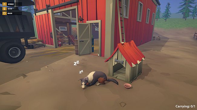 A Needle In A Haystack: Sorting Game